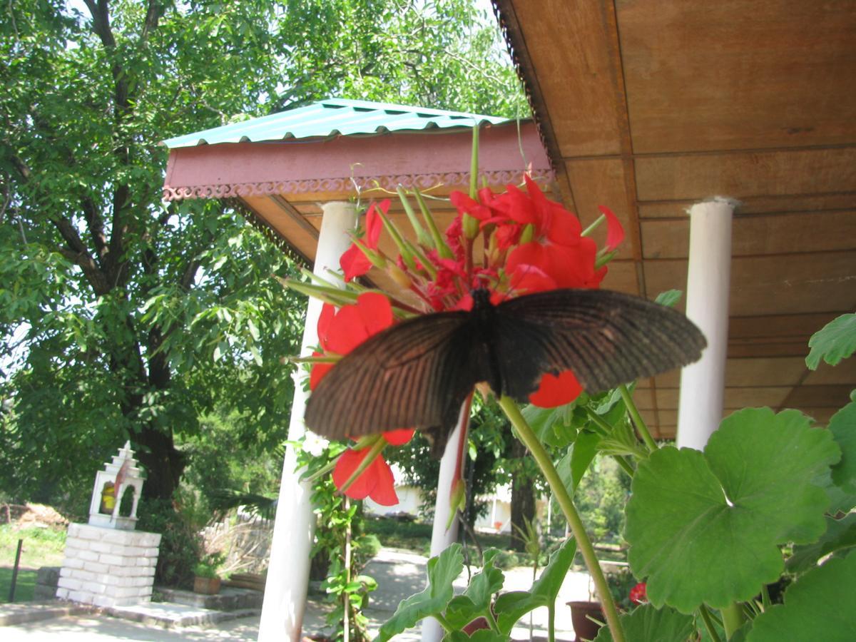 Tatva Bir Tents And Hotel Kangar Exterior photo